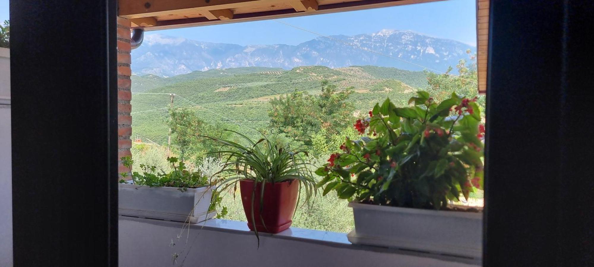 Salillari Guest House Berat Exterior foto